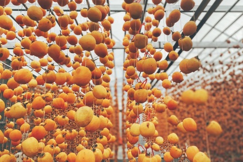 Bỏ công việc văn phòng, cô gái 9X lên Đà Lạt làm đặc sản hồng treo gió