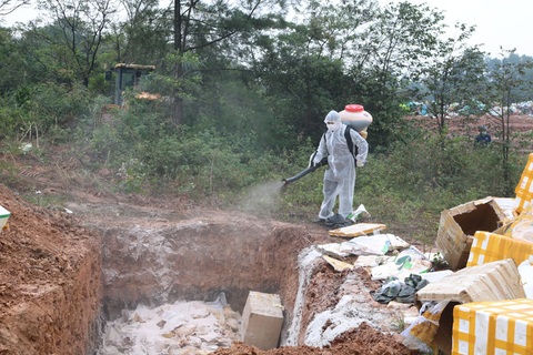 Tiêu hủy hơn 2,3 tấn sản phẩm động vật không rõ nguồn gốc