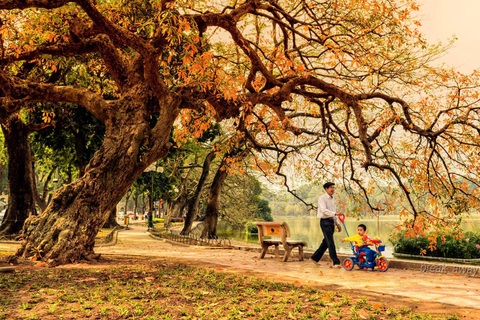 10 Ca Khuc Bất Hủ Khong Thể Bỏ Qua Khi Ha Nội Vao Thu Bao Dan Tri