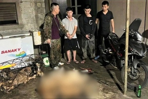 Two men use homemade gun to steal nine dogs in one night