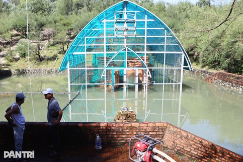 Torrential rain floods Hue's ancient Cham tower