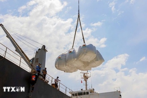 Vietnam exports over 8 million tonnes of rice in 2025