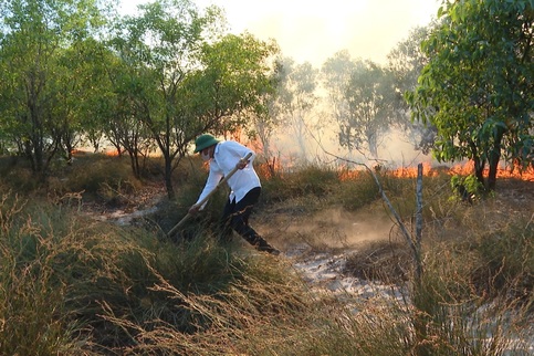 Massive wildfire destroys about 200ha of Quang Tri forest