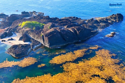 Quang Ngai surveys volcanic islet for eco-tourism development