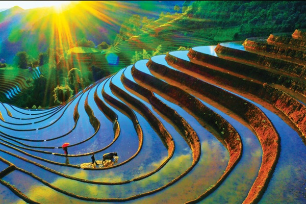 Thanh Miền: Dấu chân không mỏi trên những mùa vàng Tây Bắc