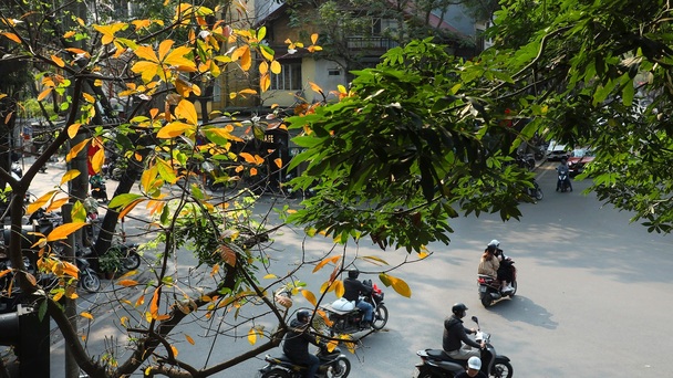 Hanoi's beauty in Spring