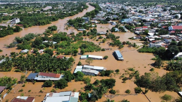 Farmers wade through floodwaters to harvest dragon fruit in Lam Dong