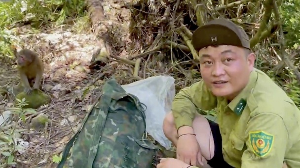 Rare macaque calmly approaches rangers in Vietnam's Pu Mat forest