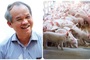 Bầu Đức cho cổ đông ăn thịt