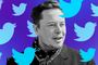 CEO Twitter nói gì saukhi Elon Musktu yên bố tạm hoãn thỏ a suận?