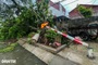 Vietnam may face 6-7 storm impacts in 2026