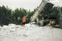 Tay Ninh man charged over dumping nearly 600 tonnes of cement waste