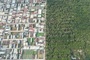 200-hectare forest serves as Dong Nai's green lung