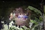 Two killed after truck plunges into ravine in Son La