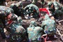 564 martyrs' remains found at Ho Chi Minh City park