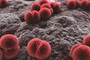 Two deaths reported in Ca Mau amid suspected meningitis cases