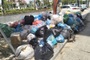 Waste plant shutdown sparks pollution outcry in Danang