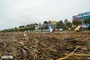 Thanh Hoa beach devastated after Typhoon Bualoi