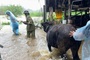 Central Vietnam braced for days of heavy rain
