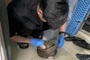 Cuc Phuong National Park receives 12 rescued Javan pangolins