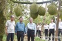 Dong Thap to host first fruit festival in June