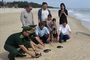 Three endangered turtles released off Quang Tri coast