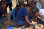 Tourist dies after drowning incident off Phu Quoc coast