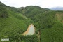 Thanh Hoa rejects plan to convert 13ha forest into soil mine
