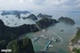 Quang Ninh plans electric tourist boats in Ha Long Bay