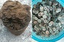 Nearly 10 kg of old coins unearthed at Nghe An house