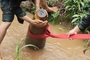 War bomb weighing 300kg safely removed in Dong Nai