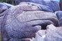 Cu Lao Xanh's unusual rock formations attract visitors