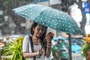 Four days of thunderstorms forecast for northern, central Vietnam