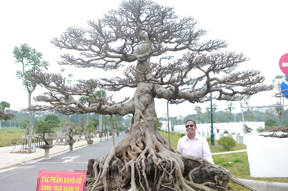 Cặp sanh cổ gần 200 năm tuổi cực hiếm, có tiền chưa chắc mua được