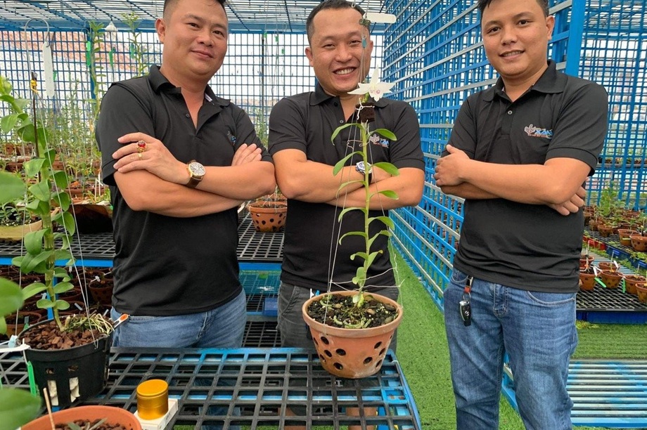 Lắng nghe kinh nghiệm quý báu về cách chăm lan hồ điệp nở đúng dịp Tết của nghệ nhân Quý Trần