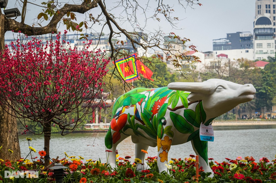 Hà Nội khoác áo mới rực rỡ chào đón Tết Tân Sửu 2021