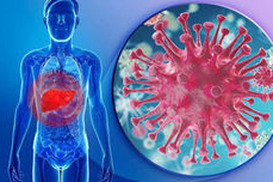 Không phải tải lượng HBV-DNA cao là nặng