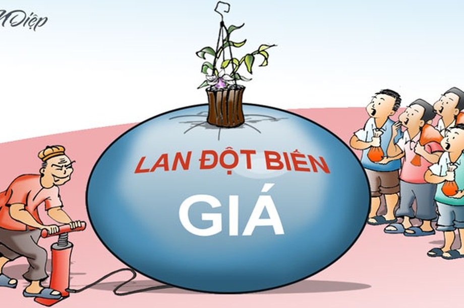 Phải chăng tiếng chuông nguyện hồn ai đã gióng lên?