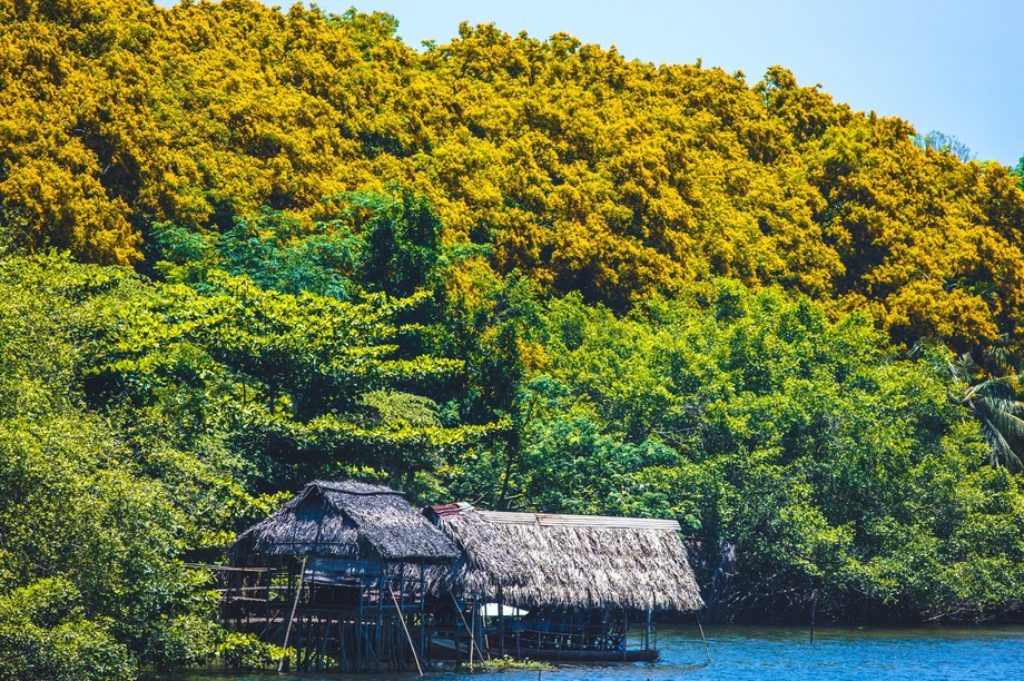 Du khách thưởng lãm mùa hoa sưa vàng rực bên sông Tam Kỳ