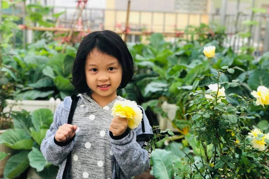 Vườn rau theo mô hình organic, dùng hệ thống tưới tự động của mẹ đảm Hà Nội