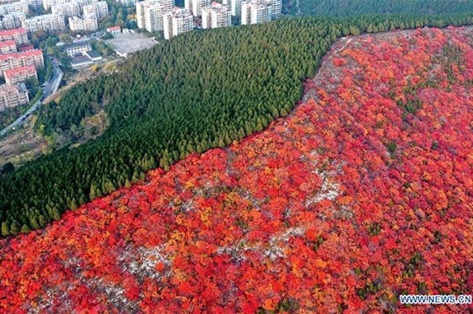 Kinh ngạc với ngọn núi nửa xanh, nửa đỏ