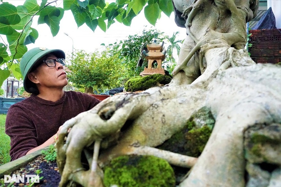 Người thổi hồn vào những gốc duối, ổi, me, bồ đề