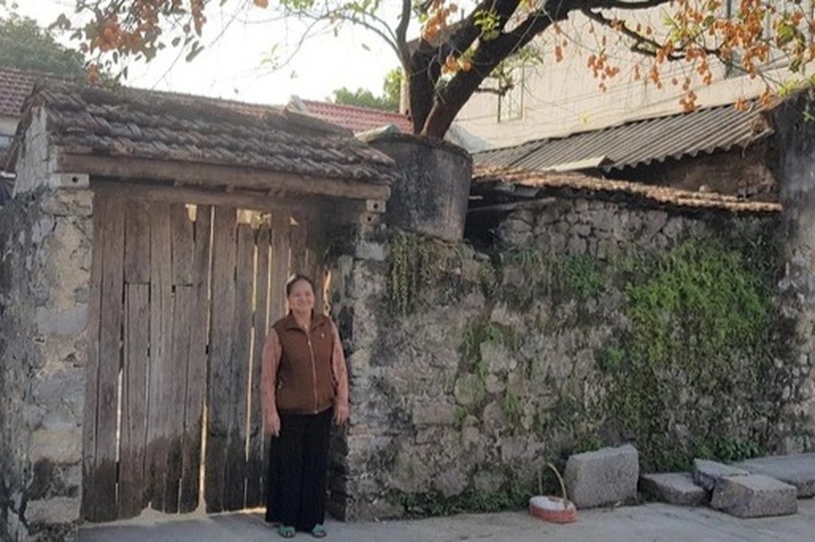 Tiết lộ bất ngờ về cây hồng trăm tuổi gây sốt mạng ở Ninh Bình