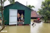 Dantri/Dtinews plans 50 floating flood houses for Dak Lak residents